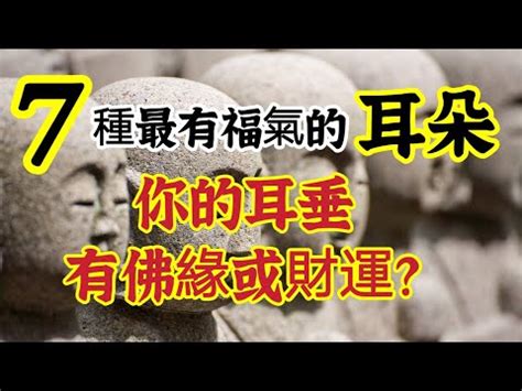 耳珠生毛|【看耳朵 面相】驚！看耳朵也能看面相？5大特徵解析。